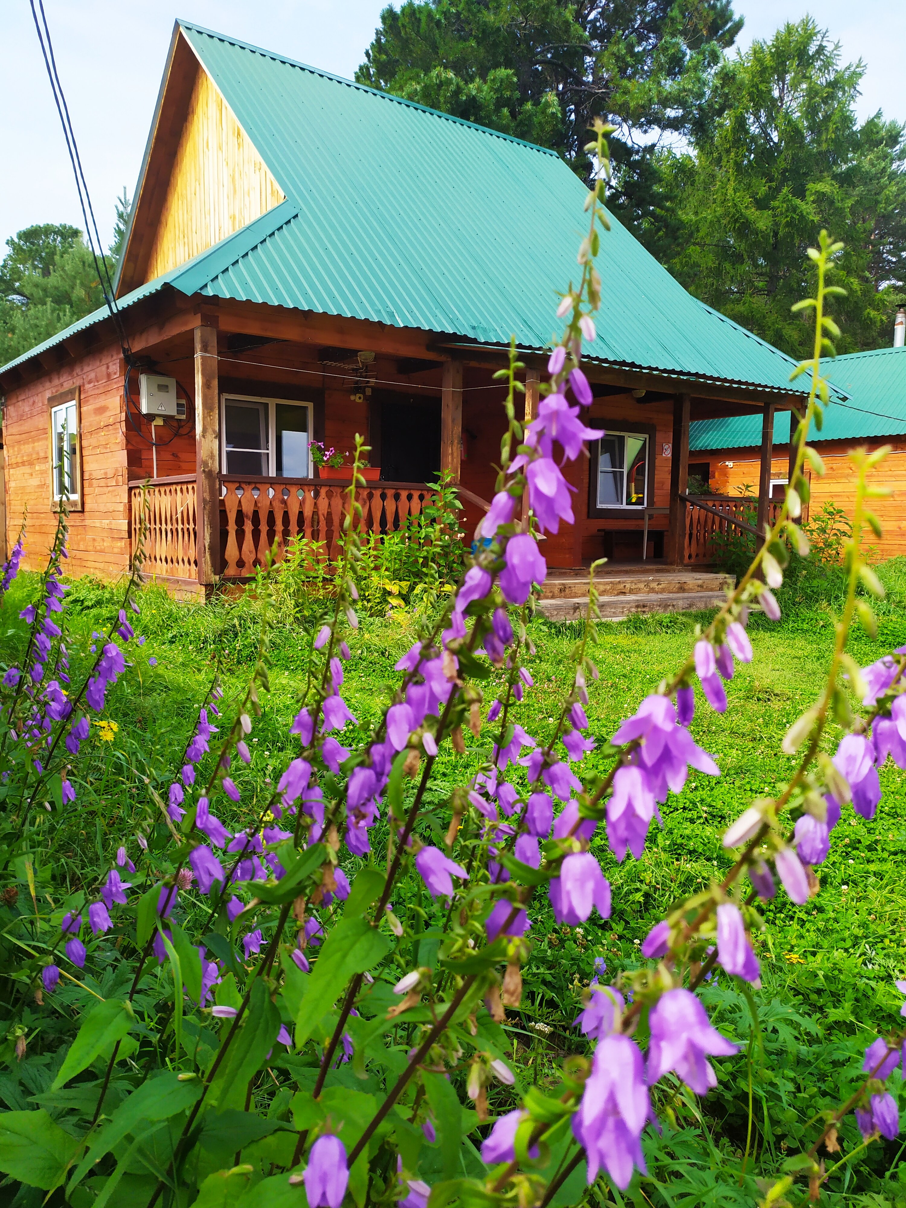 Фото Семейный