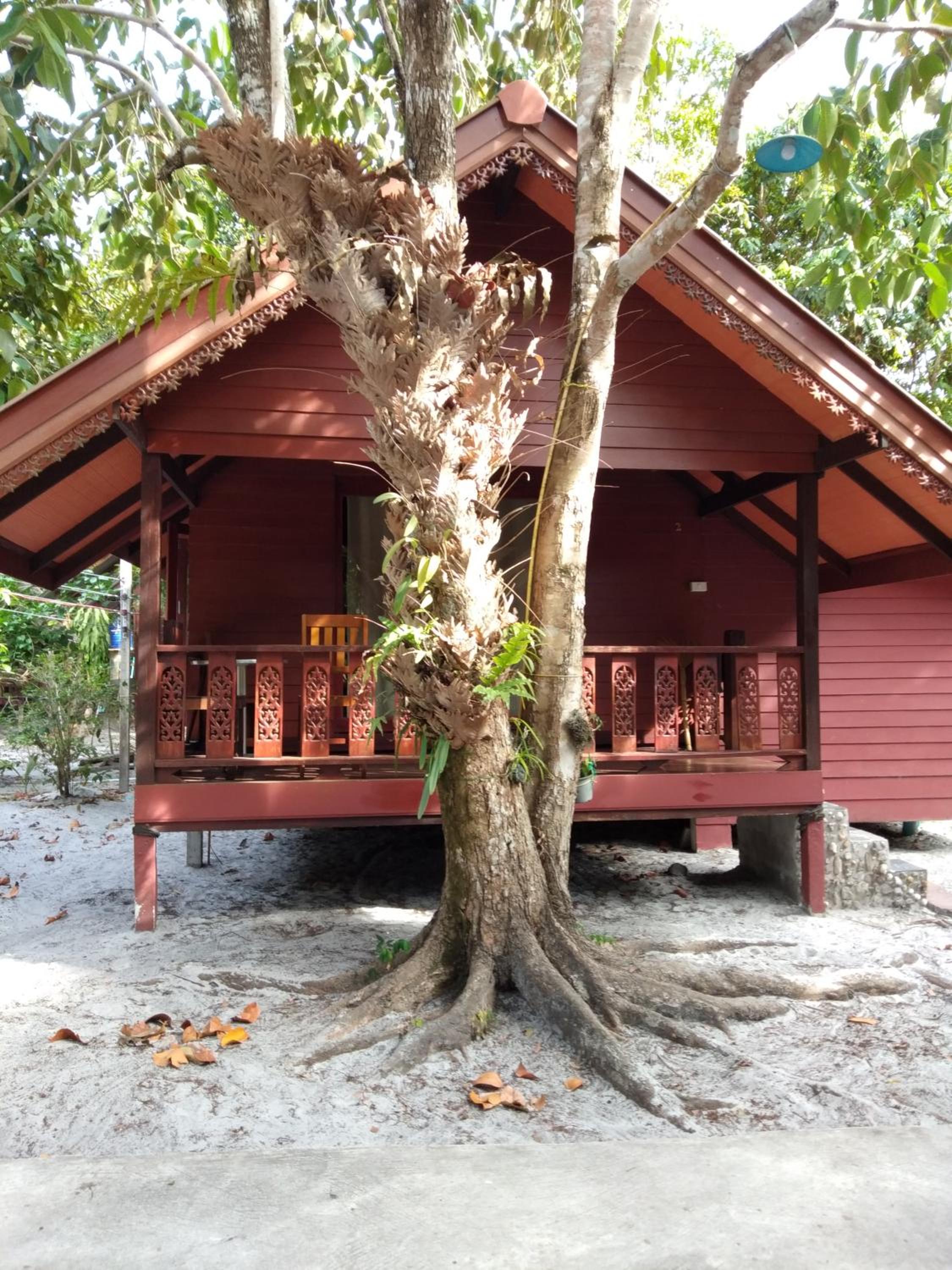 Фото Frog Beach House