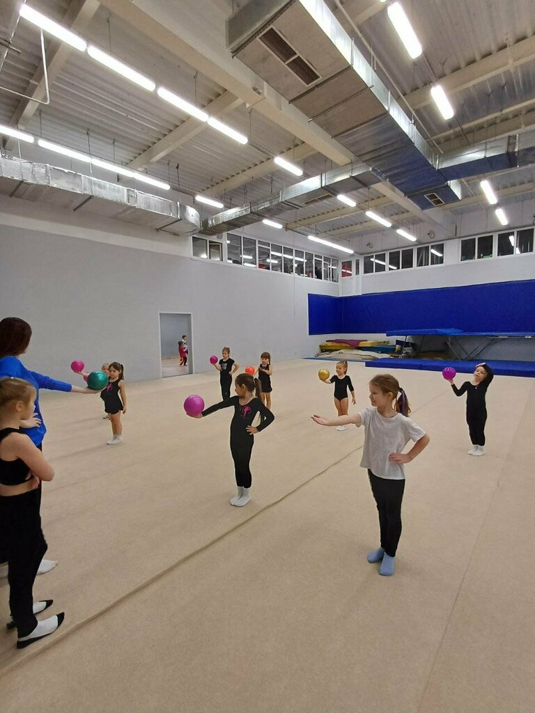 Sports club Федерация художественной гимнастики г. Ярославль, Yaroslavl, photo