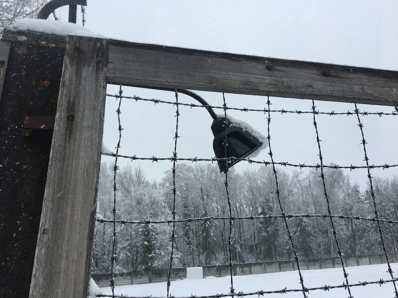 Meggi Cheung yalangoch