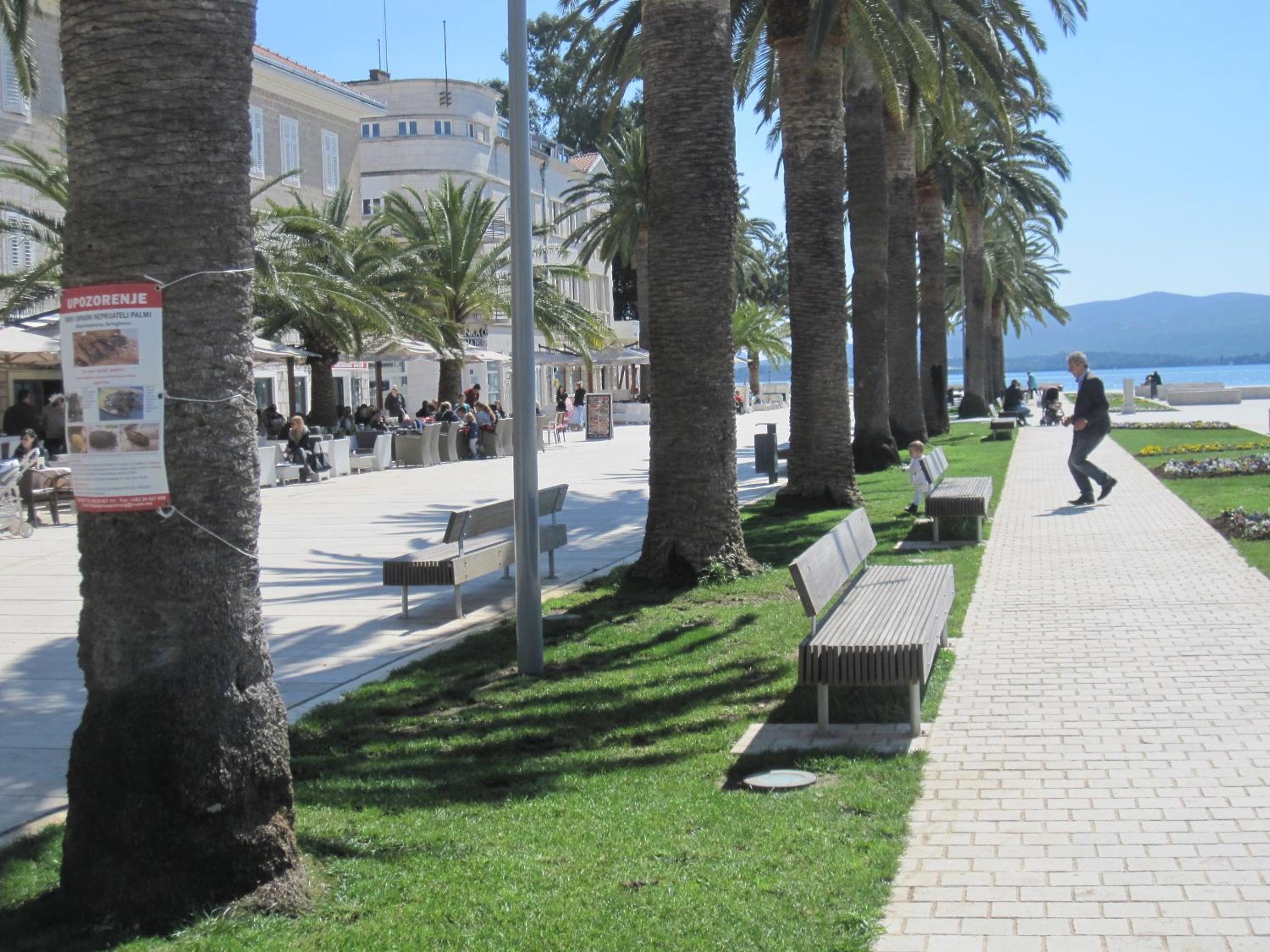 Фото Apartments City Center