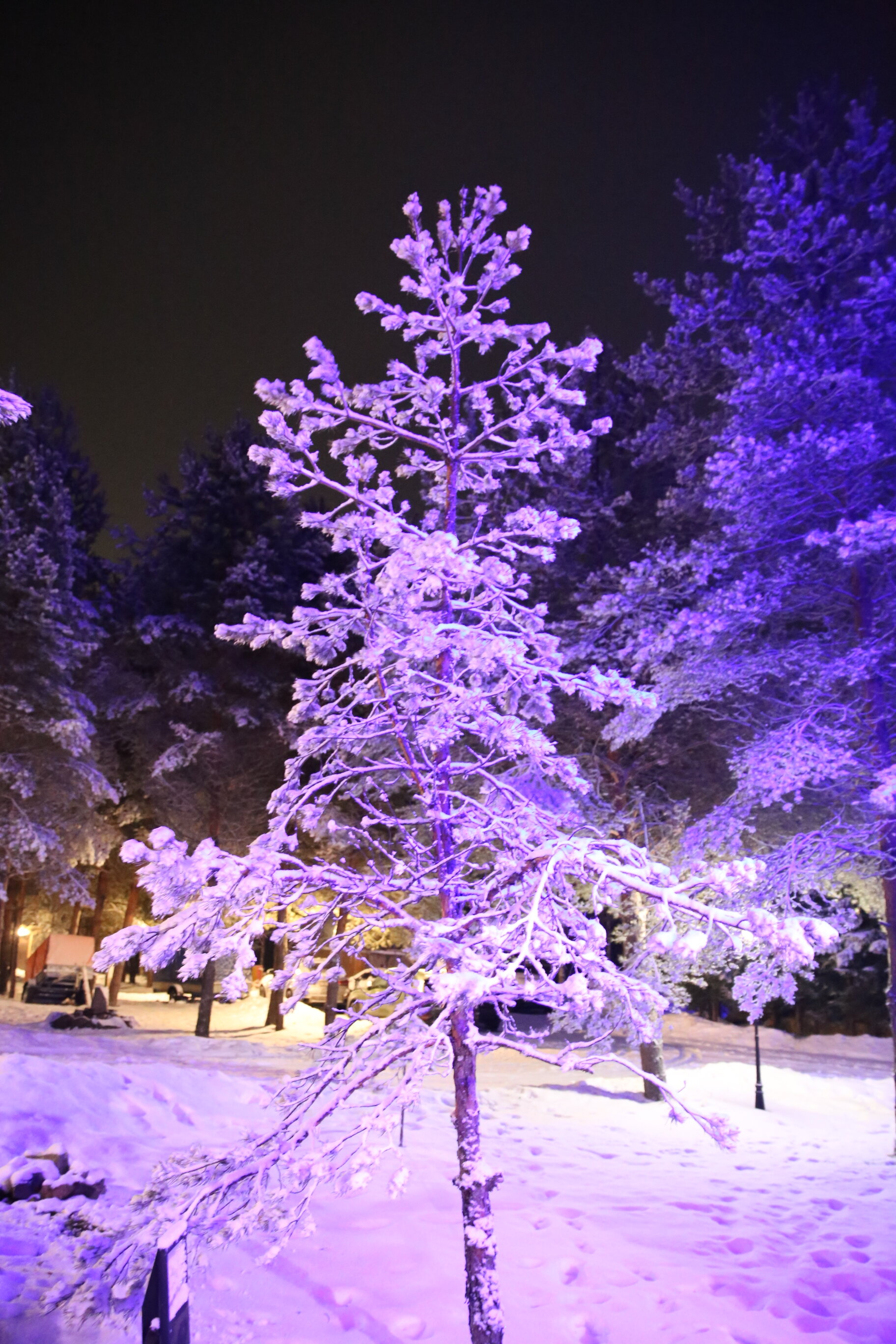 Фото Усадьба Куртюга