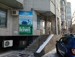Autostart (Marat Ospanov Street, 52/2), autoescuela