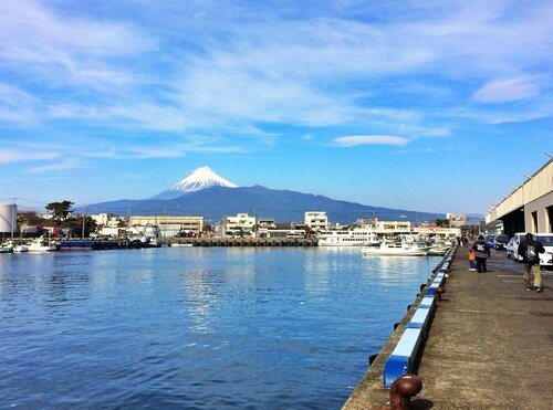 Гостиница Hotel Trend Numazu Ekimae в Нумадзу