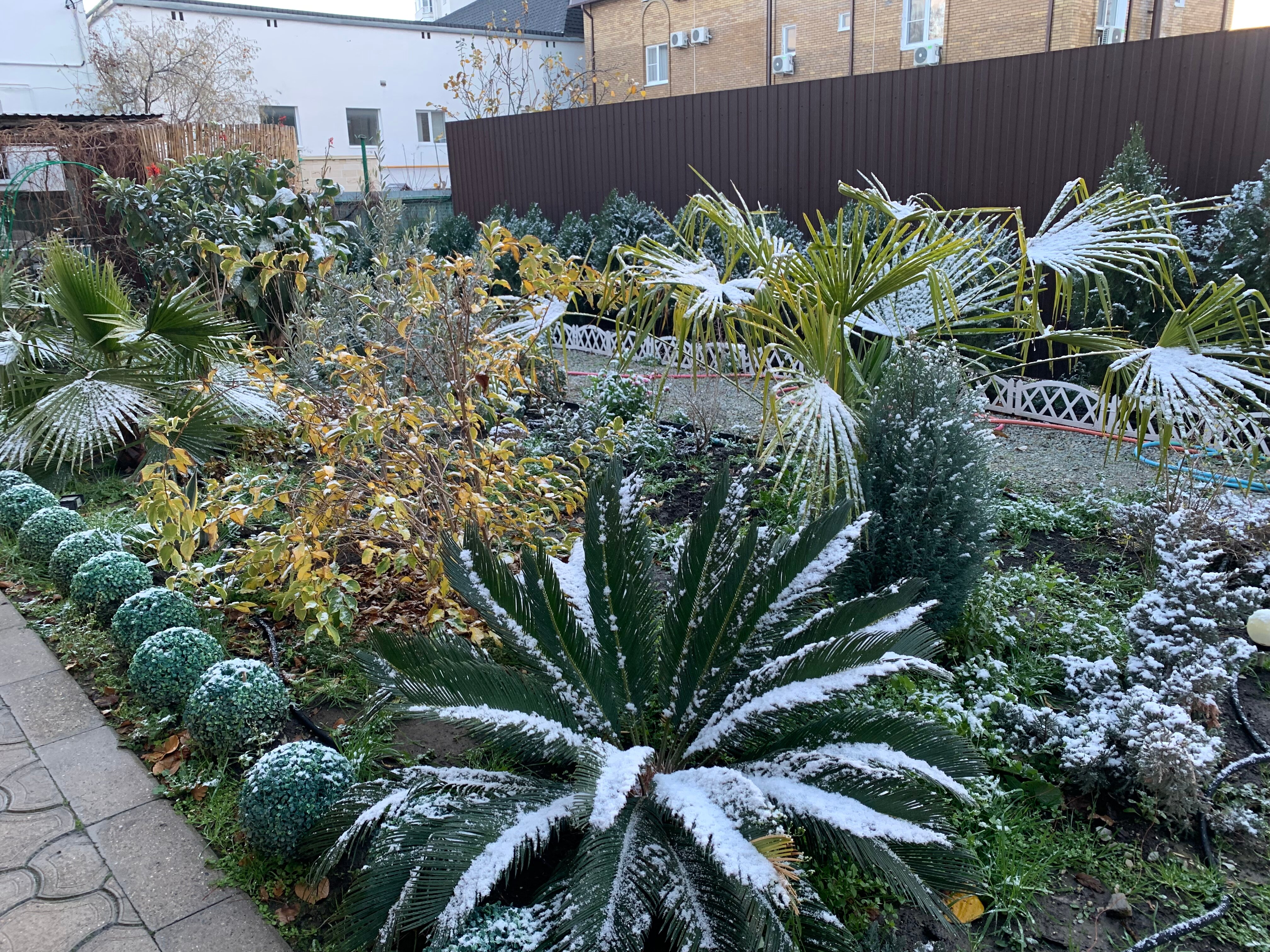 Фото Нинель