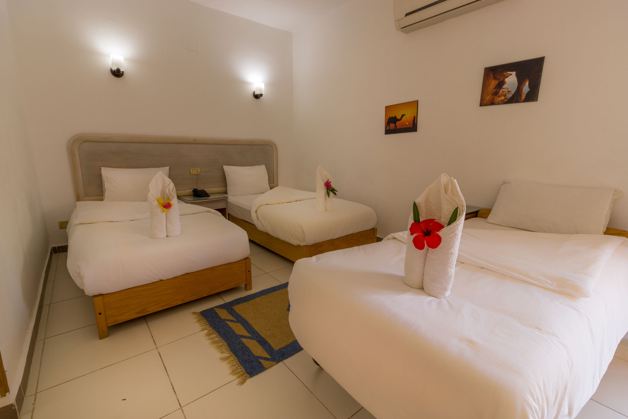 Фото Acacia Dahab Hotel