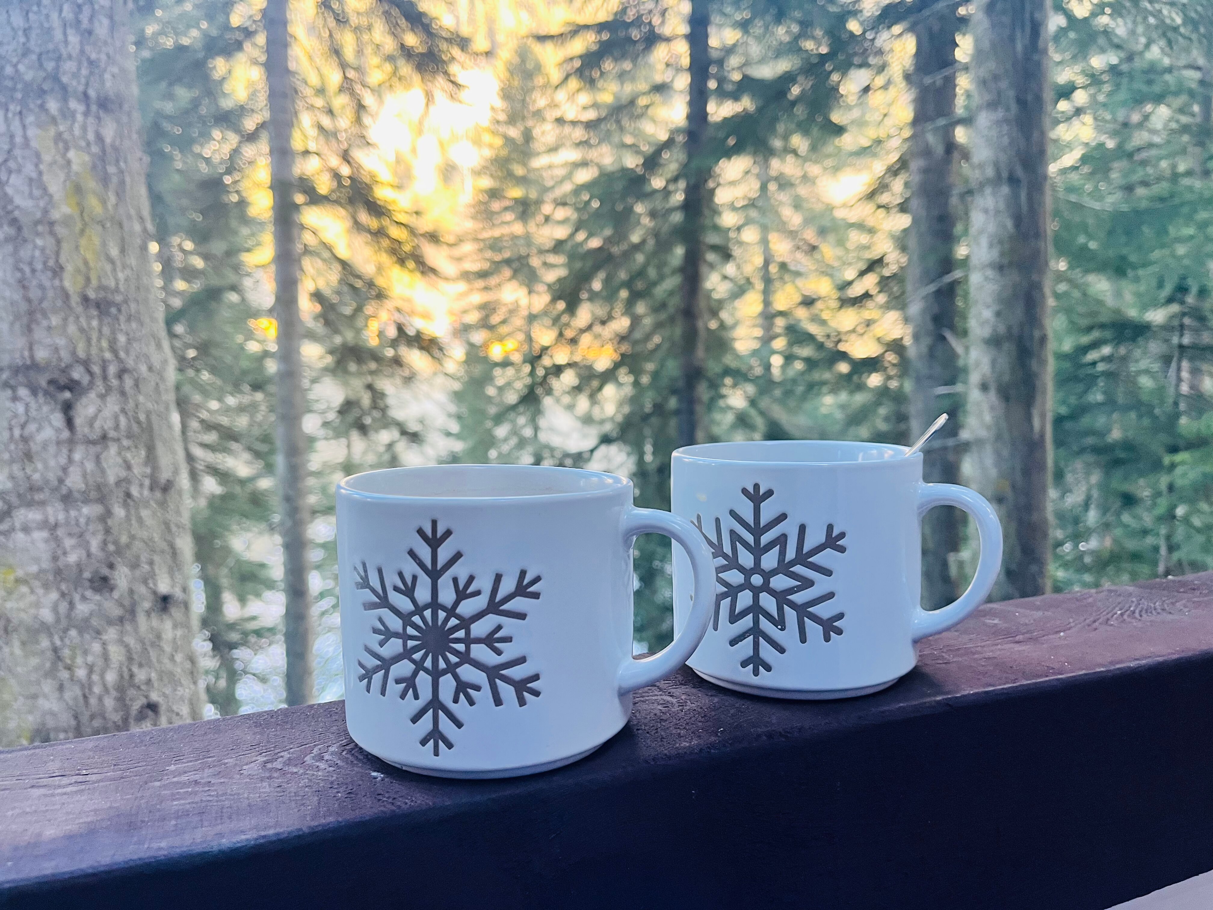 Фото Шале Валландри