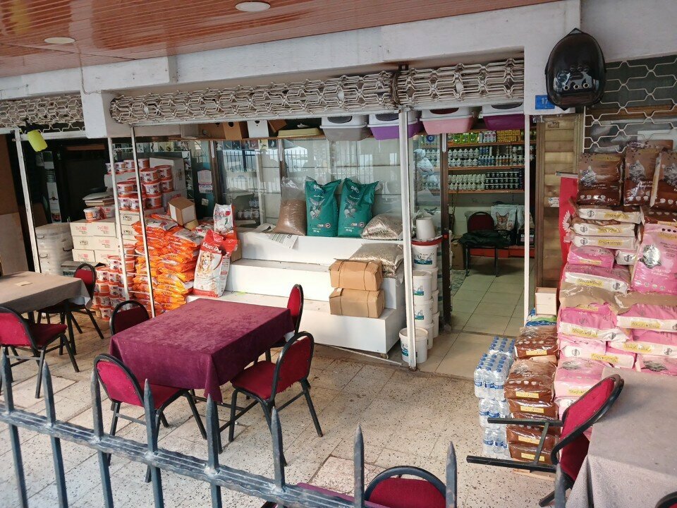 مقهى Pigeon Lovers Coffeehouse ، أنطاليا، صورة