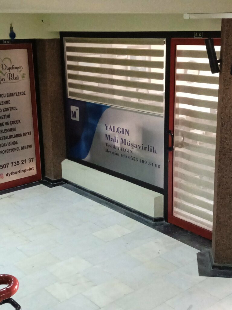 Tax consultants Yalgin Financial Consultancy, Izmir, photo