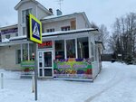 Яркий мир (posyolok gorodskogo tipa Nizhneivkino, Kurortnaya ulitsa, 2), flower shop