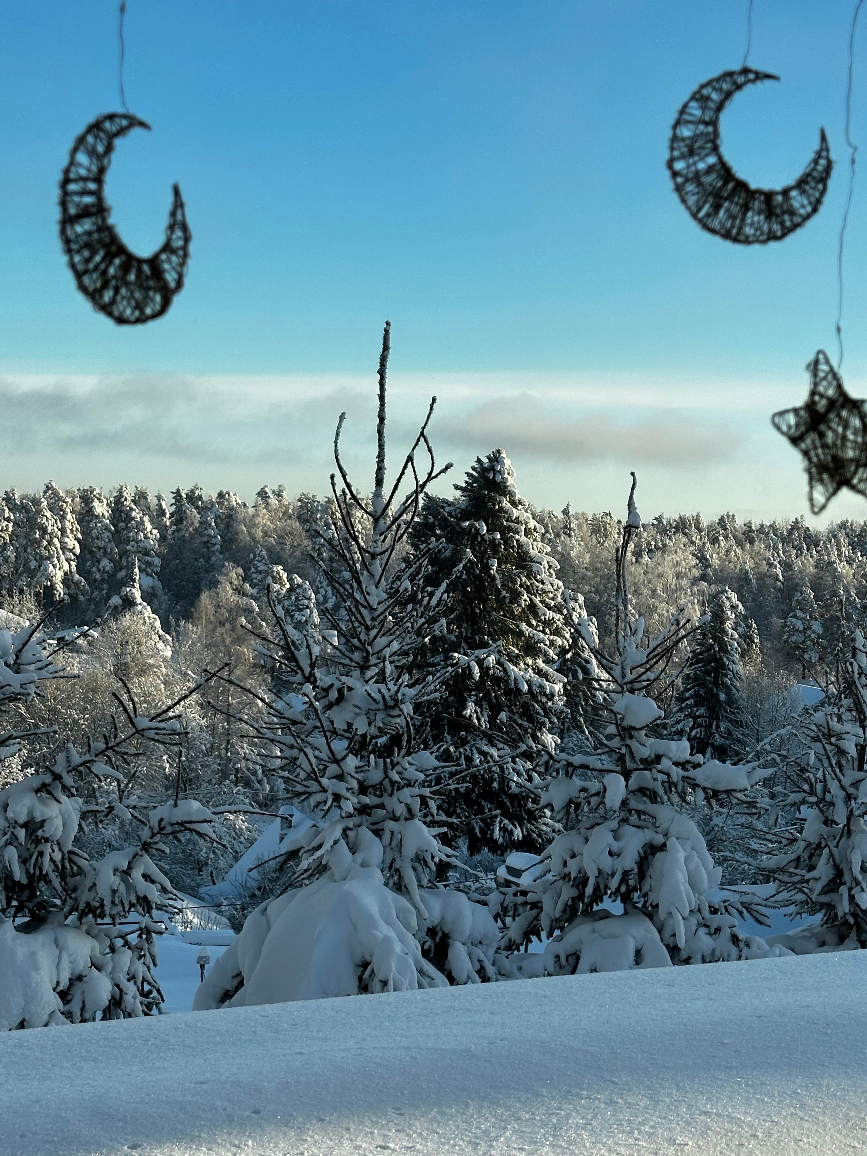 Фото Blueberry Village