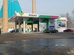 Pegas (Krıvenko kóshesi, 104), gas station