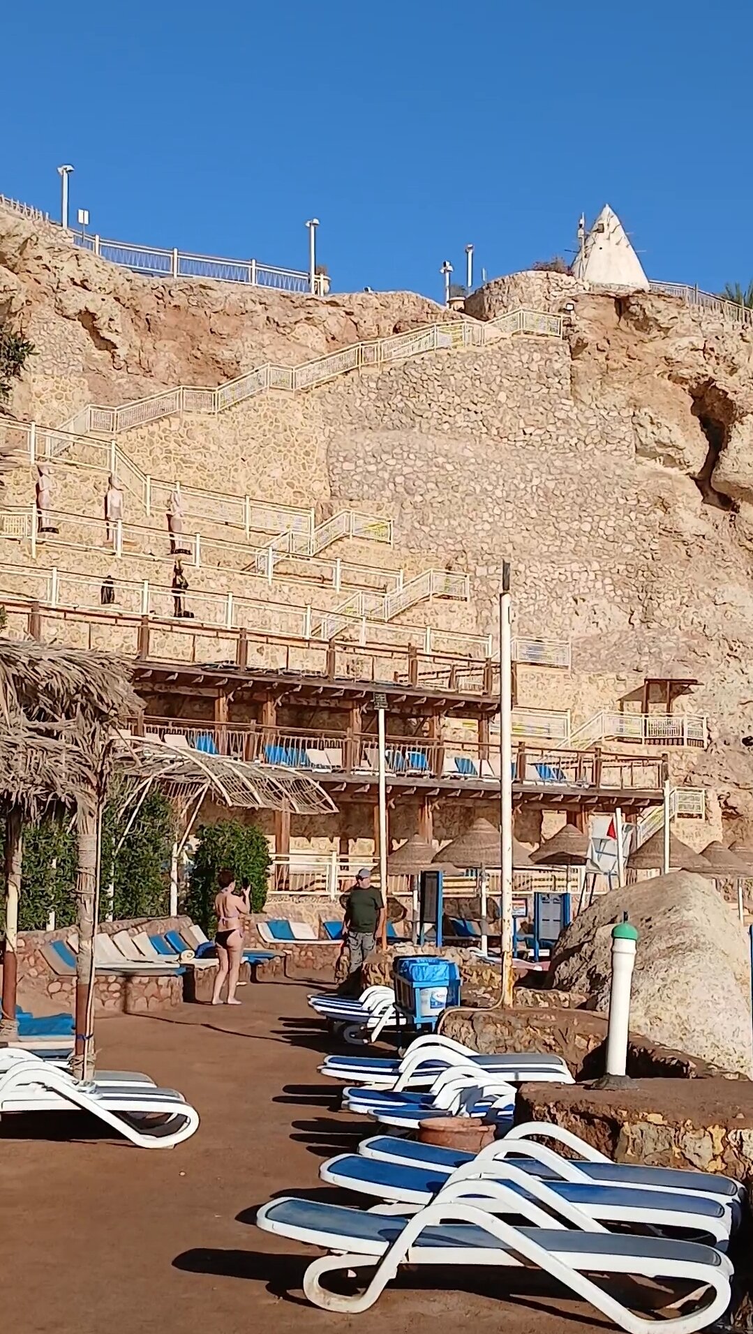 Фото Dreams Vacation