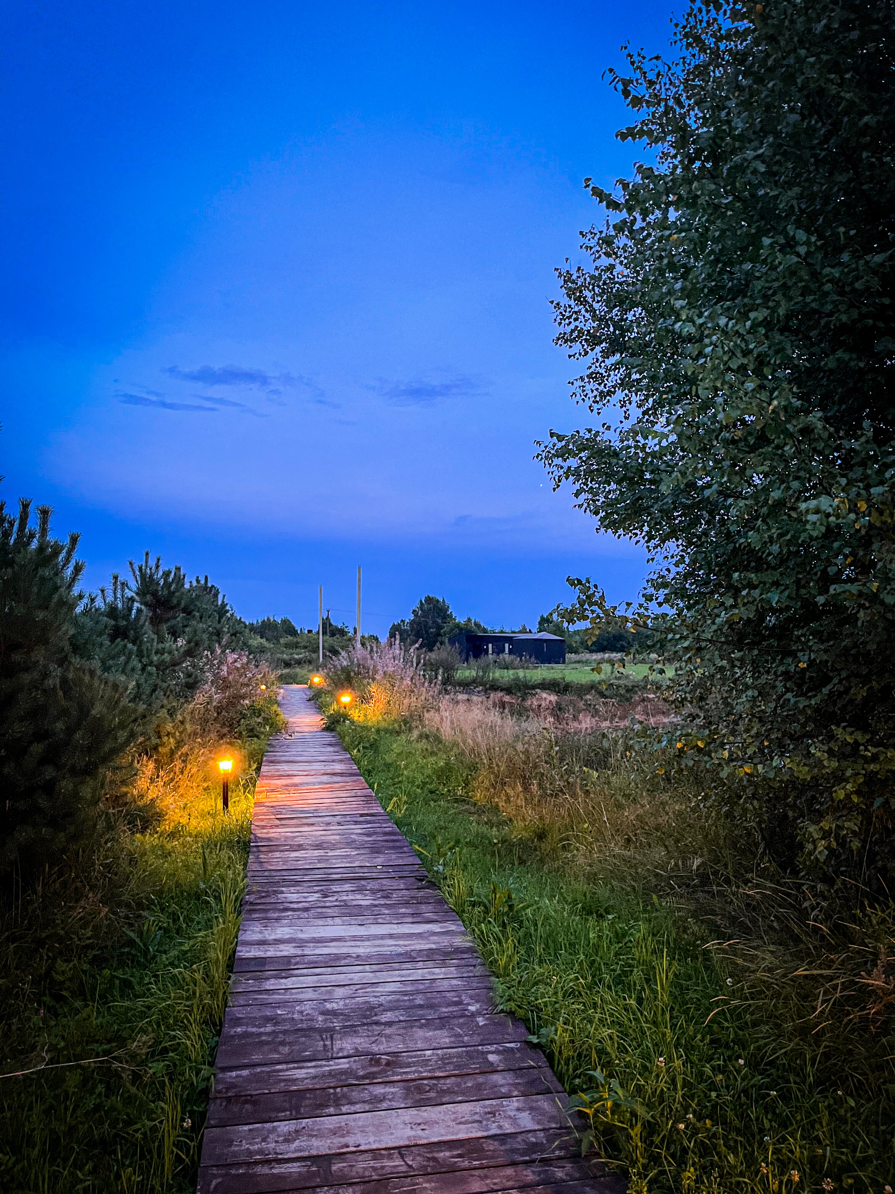 Фото Легенды леса