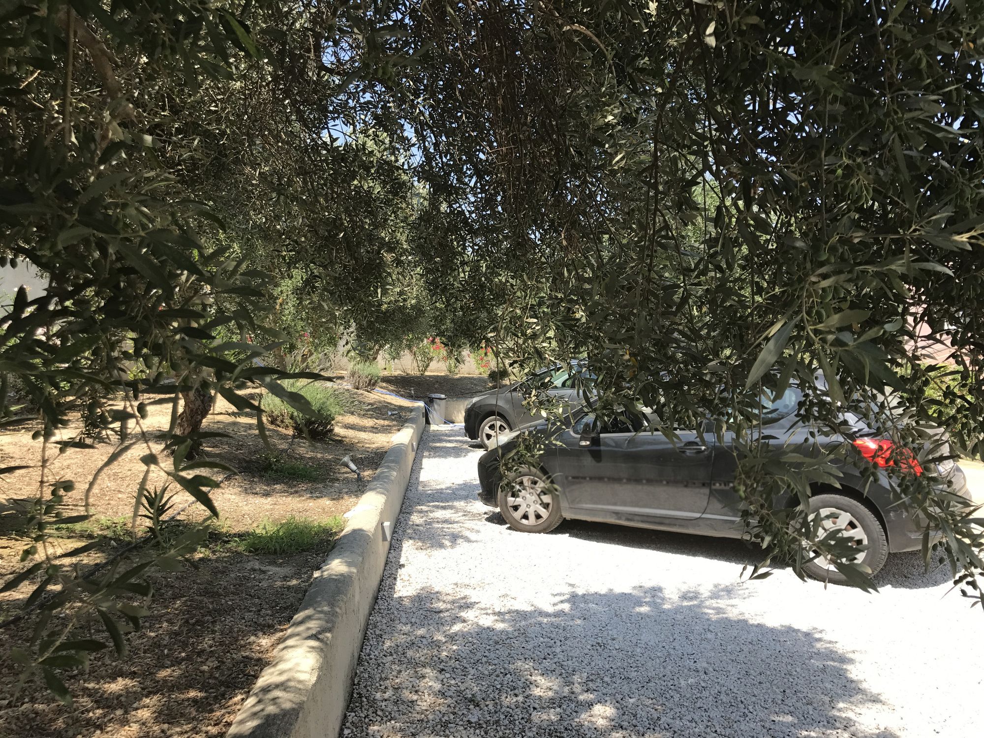 Фото Cyan Icons Villas