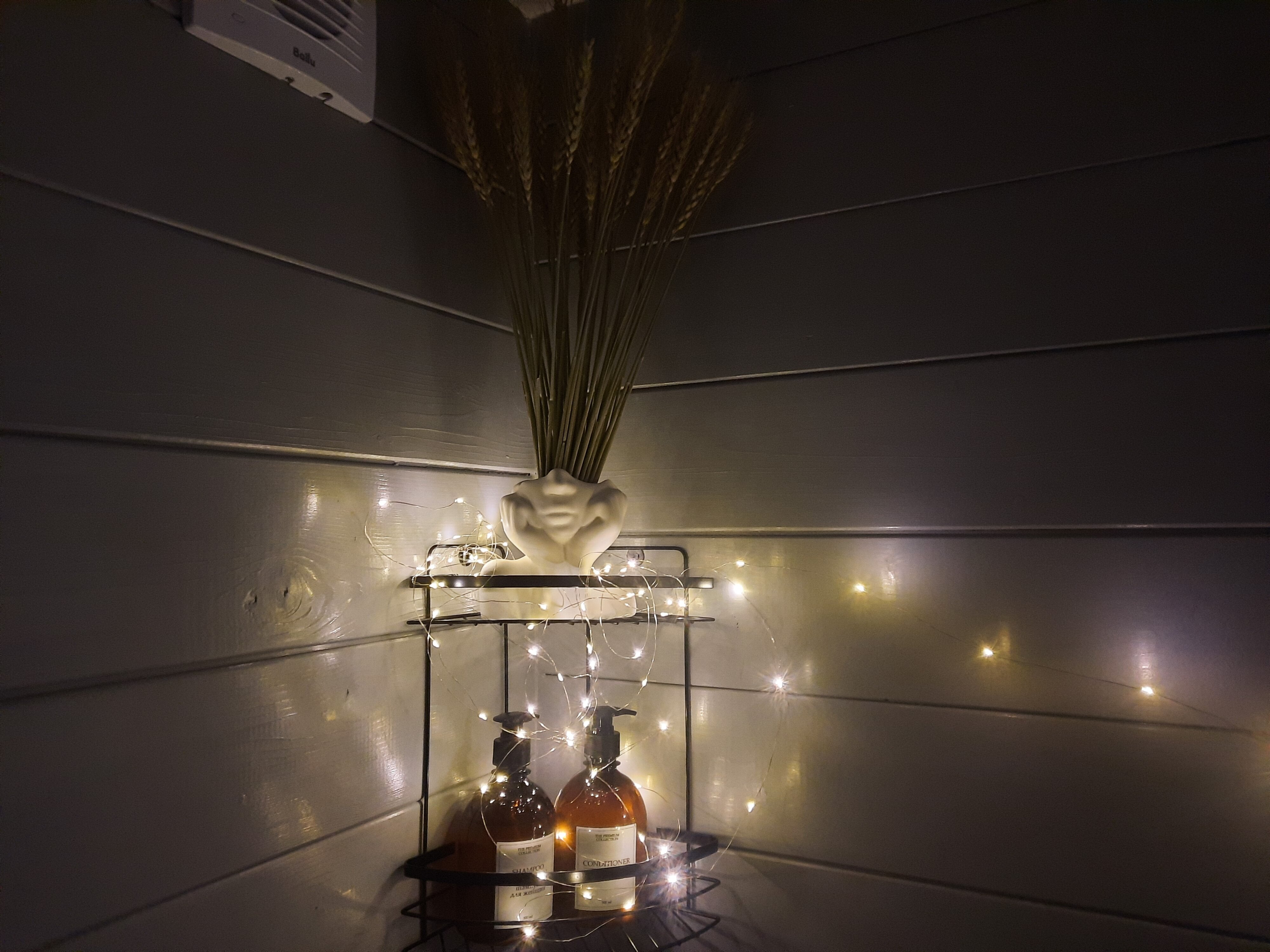 Фото Свобода леса