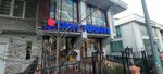 Turkey Dxn (Istanbul, Kadikoy, Kosuyolu Neighborhood, Mahmut Yesari Avenue, 86), management company