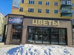 Цветы (Lenina Street, 28), floristeria