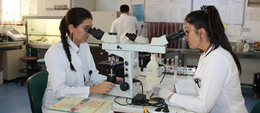Medical laboratory ComNets Lab, Antalya, photo