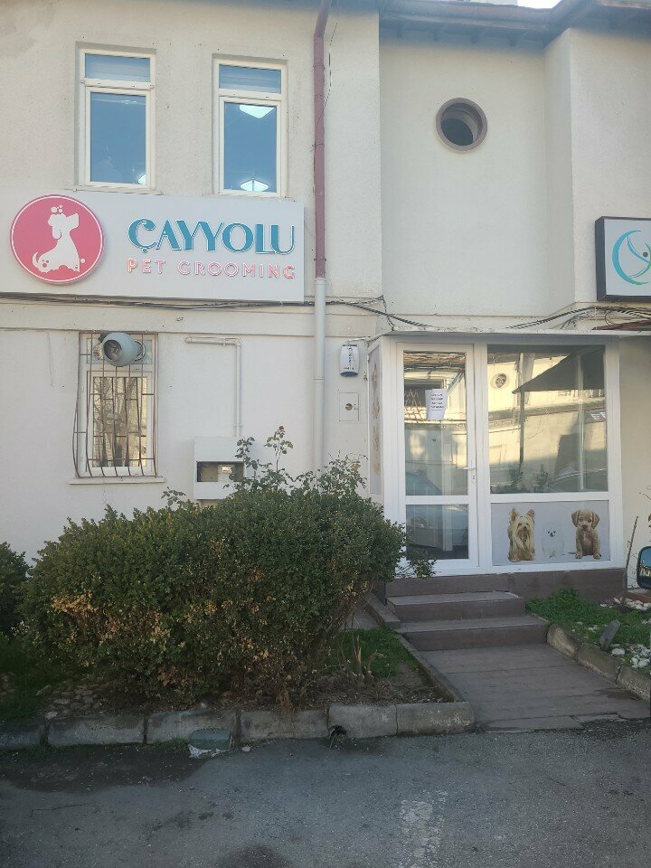 Pet salon Cayyolu Pet Grooming, Ankara, photo