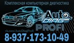 AutoDiagProfi (gorodskoy okrug Samara, Zheleznodorozhniy District, Verkhne-Karyernaya ulitsa, 2Ак2) ، التشخيص الذاتي