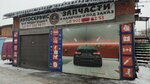 Panda. motors (Moscow, Vasiliya Botylyova Street, 47с3), car service, auto repair