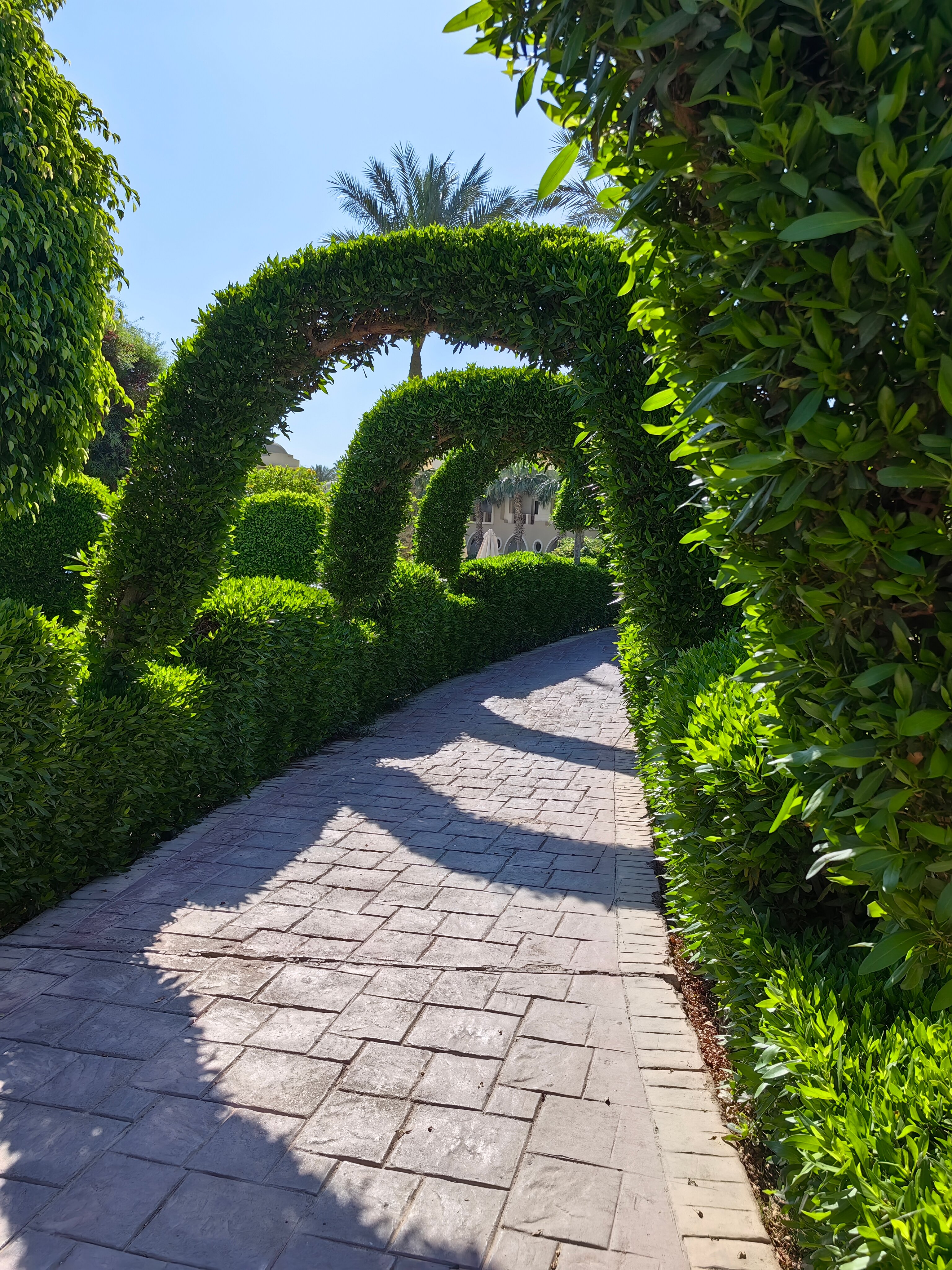 Фото Serenity Alpha Beach