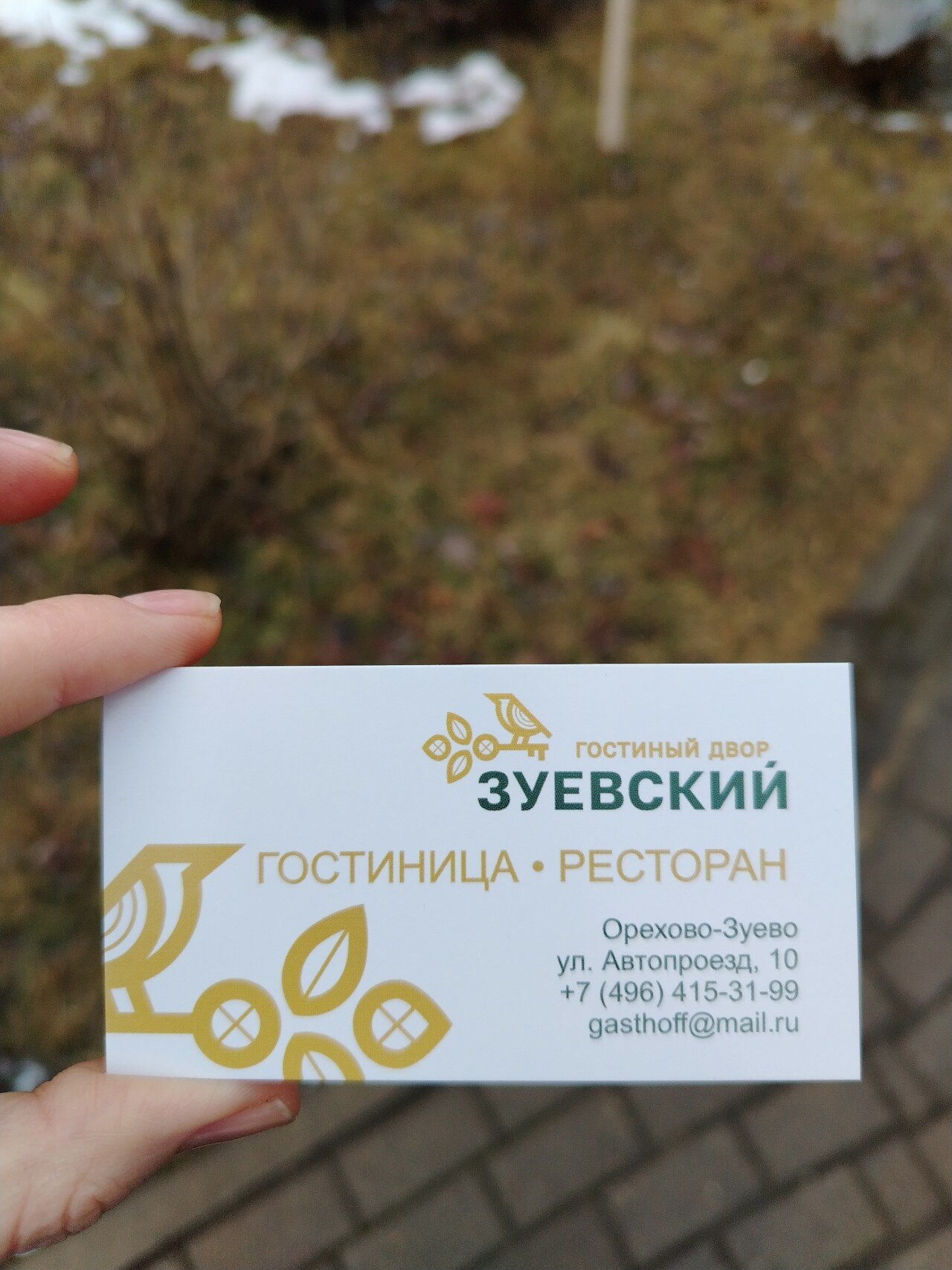 Фото Зуевский