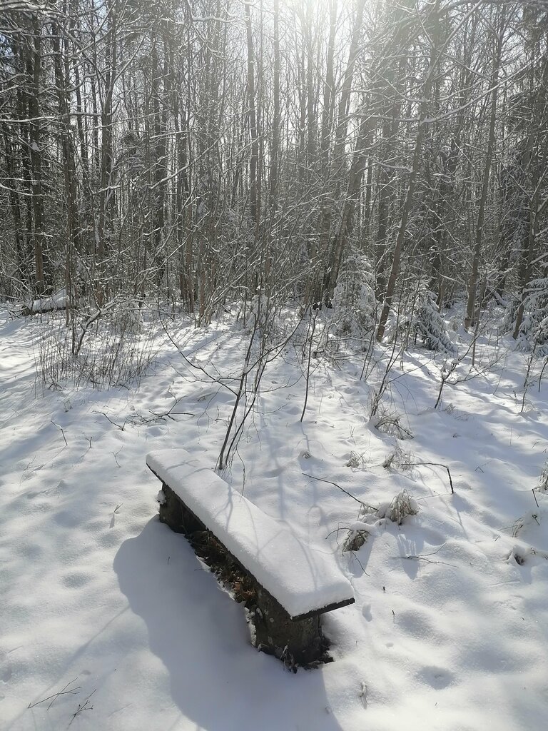 Memorial site, local landmark Бывший детский лагерь имени П. Морозова, Mogilev District, photo
