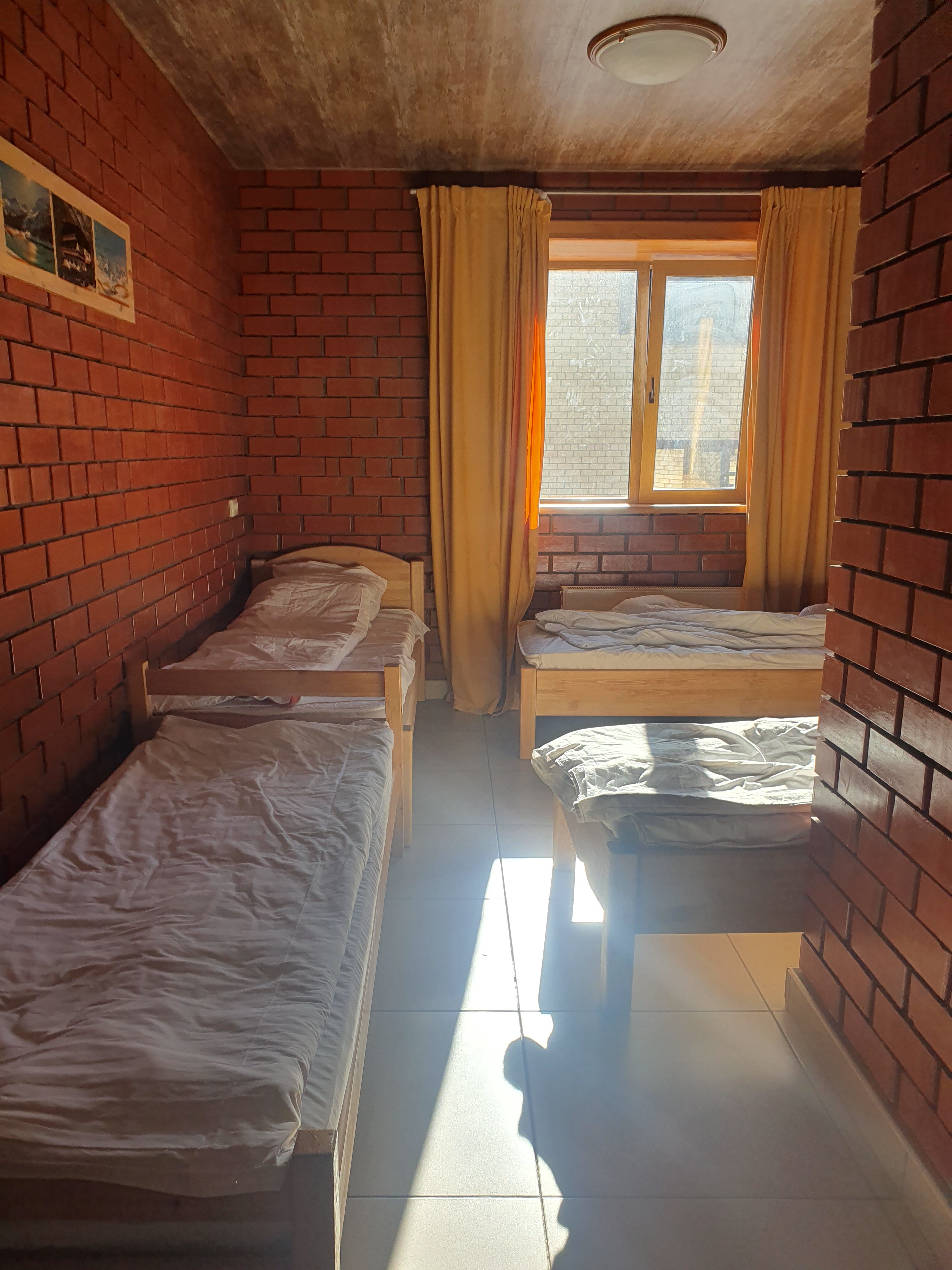 Фото Снегири