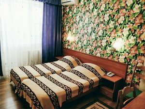 Chayka (Anapa, Mirnaya ulitsa, 23), hotel