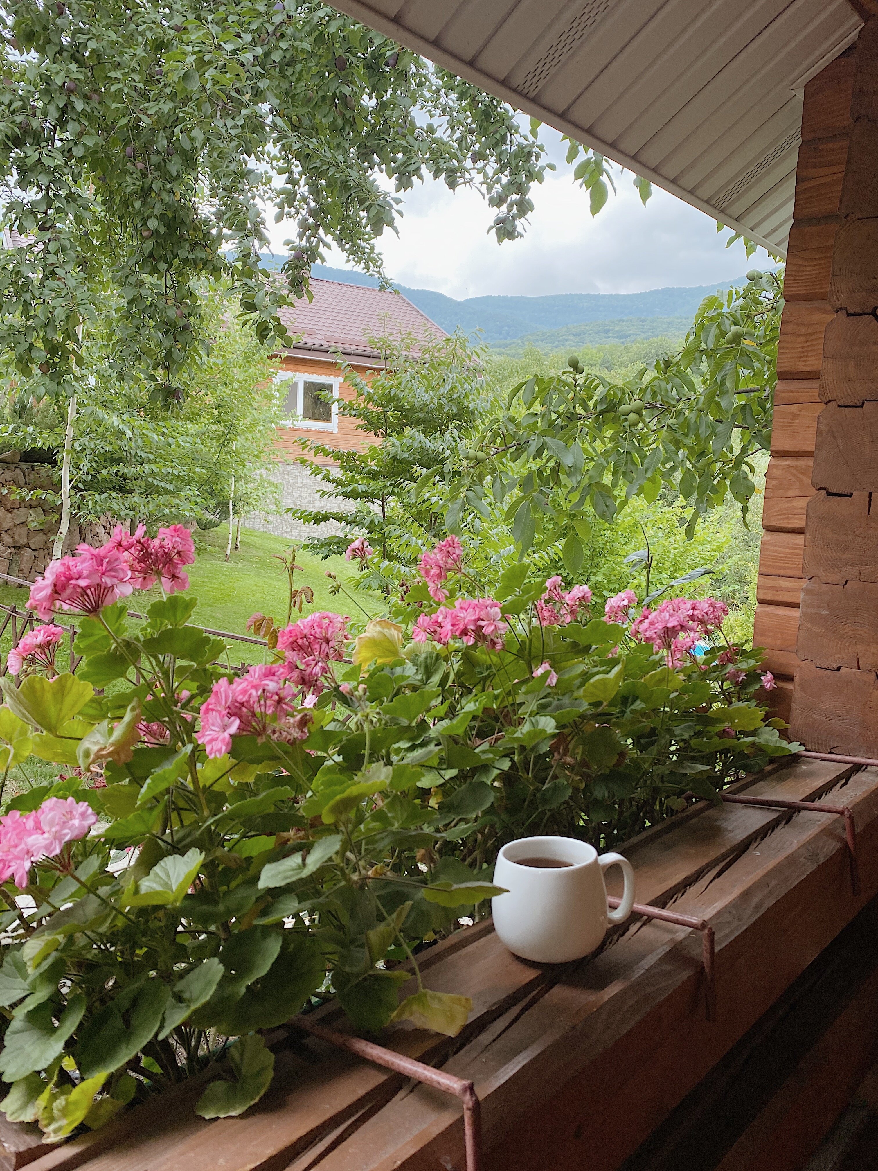 Фото Пальмира