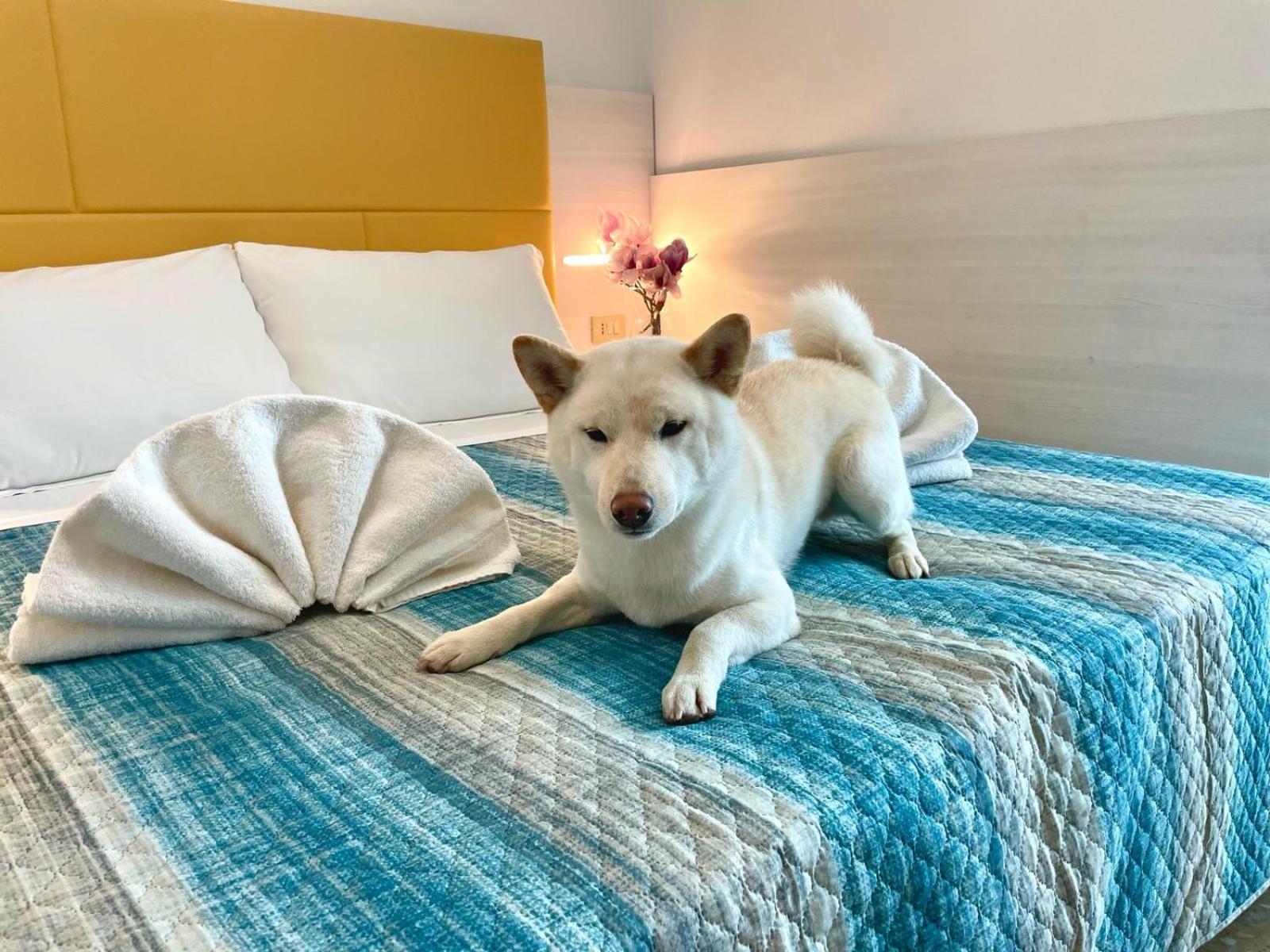 Фото Hotel Crystal