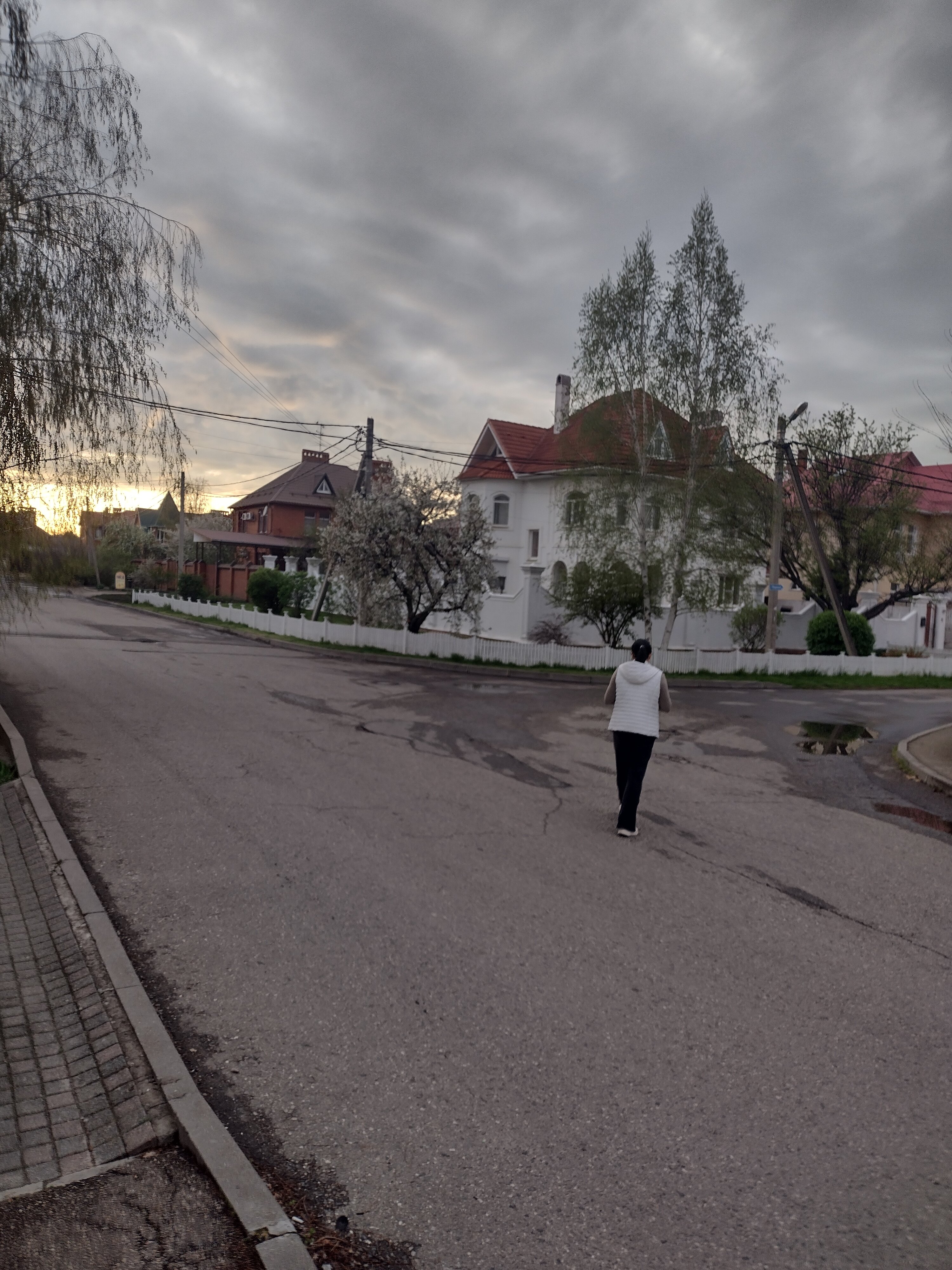 Фото Древо жизни