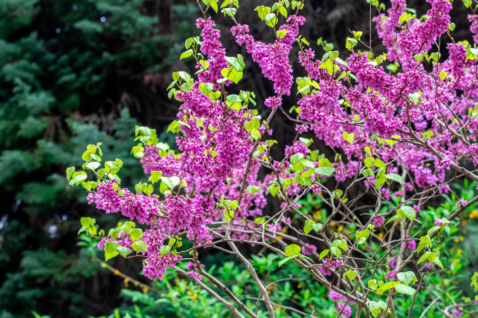 Фото Беларусь