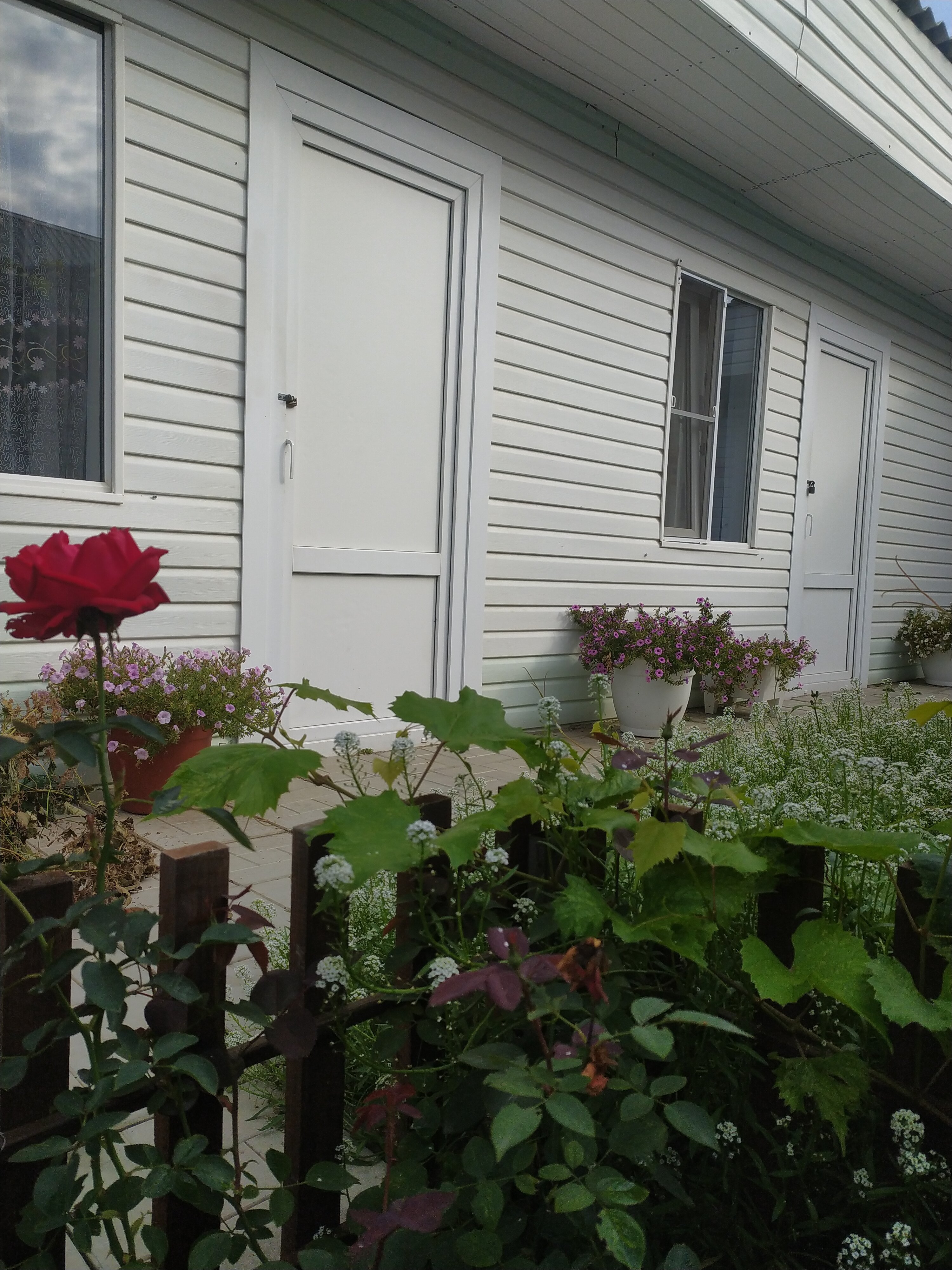 Фото Эконом