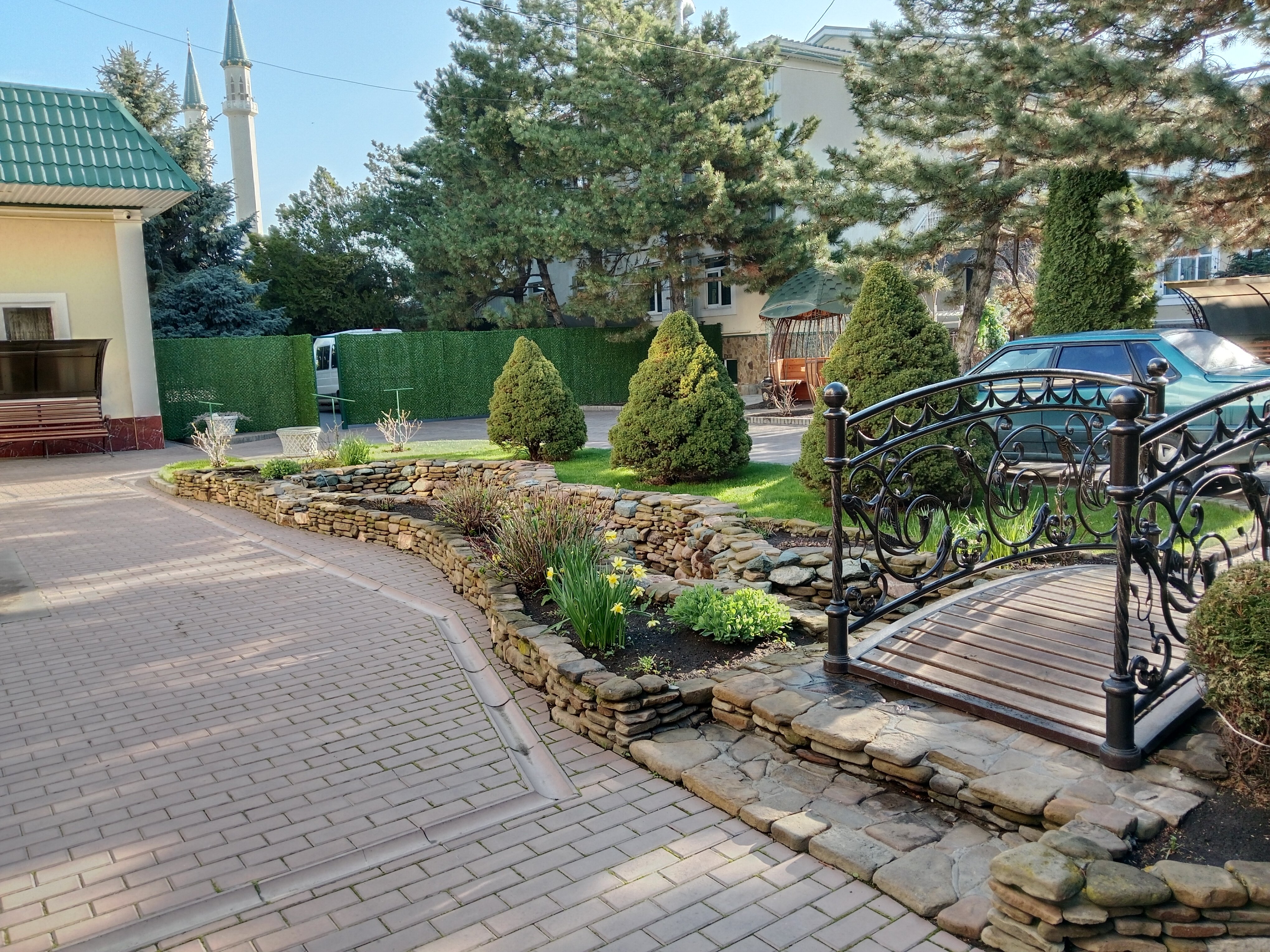 Фото Эдельвейс