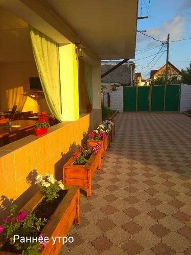 Фото Кипарис