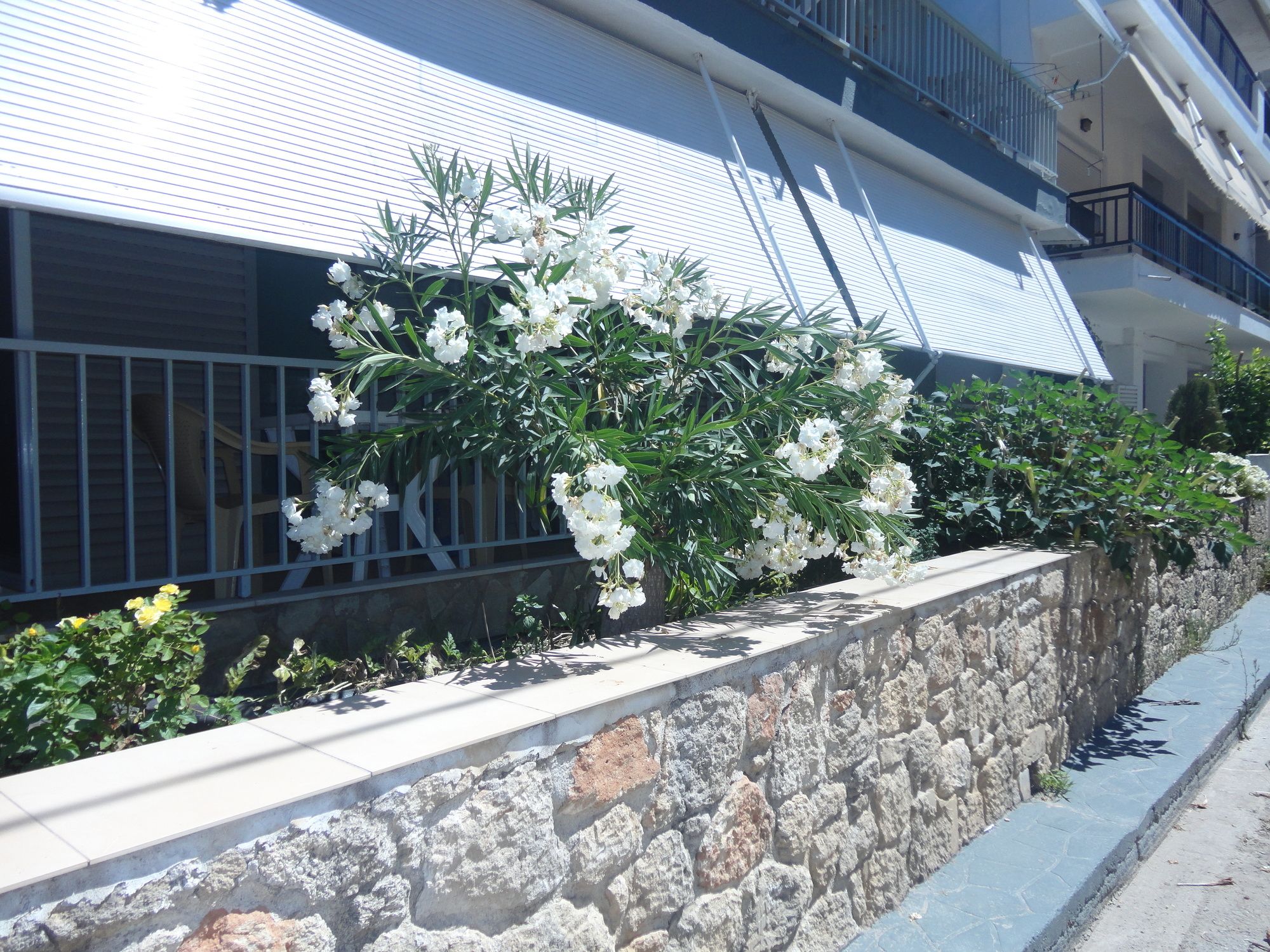 Фото 88669130606