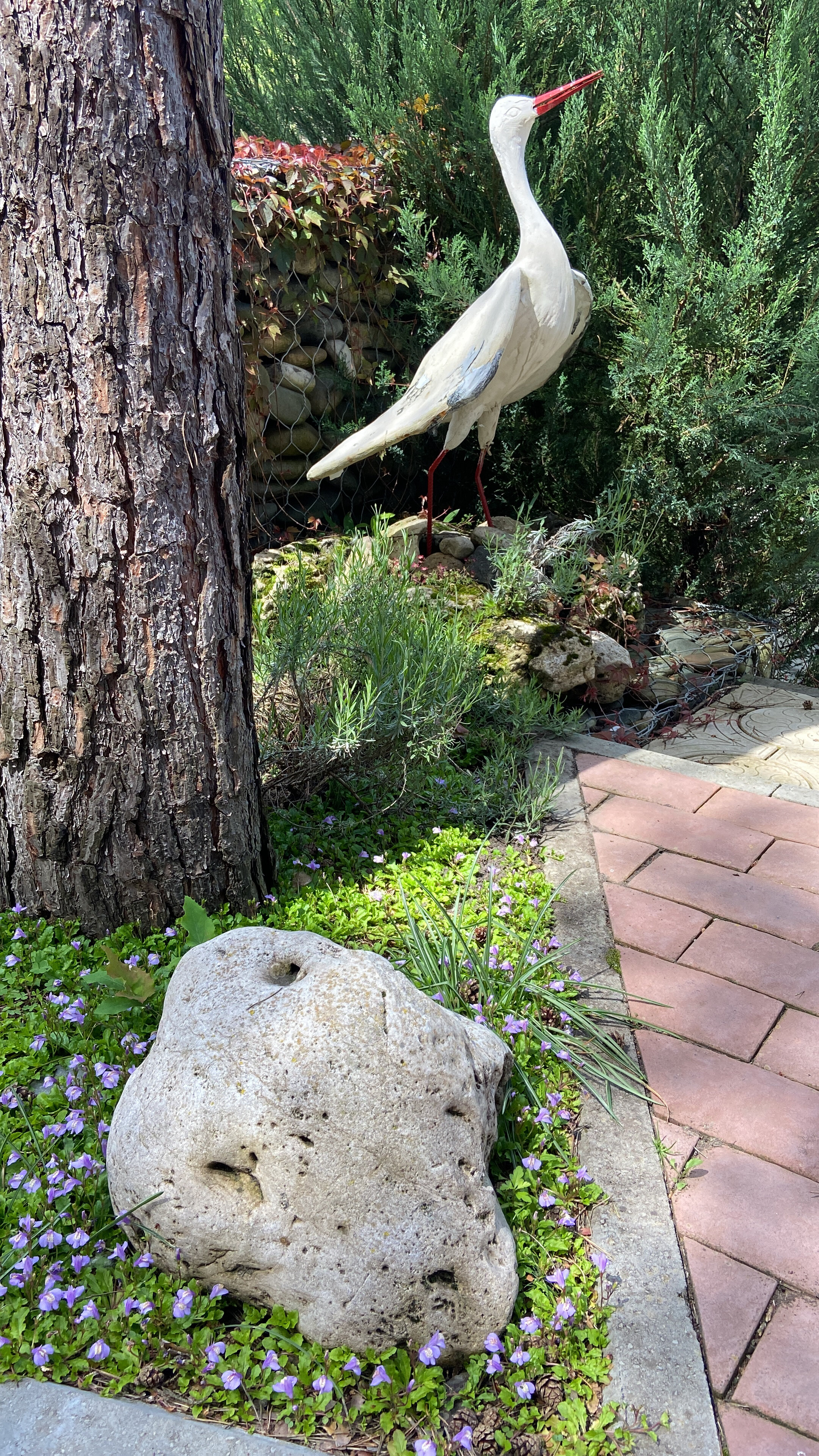 Фото Прохладный