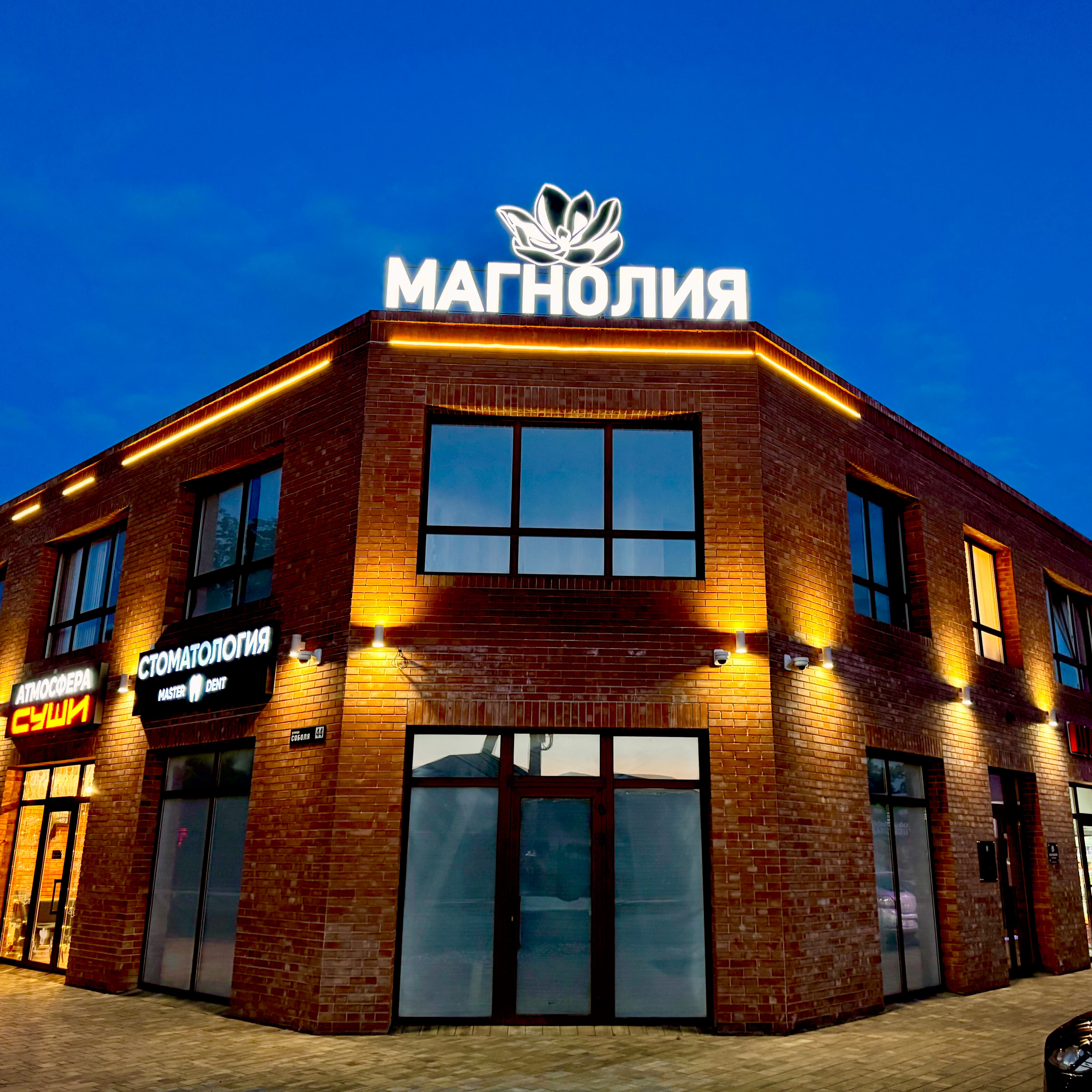 Фото Магнолия