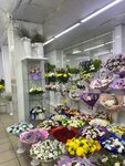 Цветы (Tolbukhina Avenue, 26), flower shop