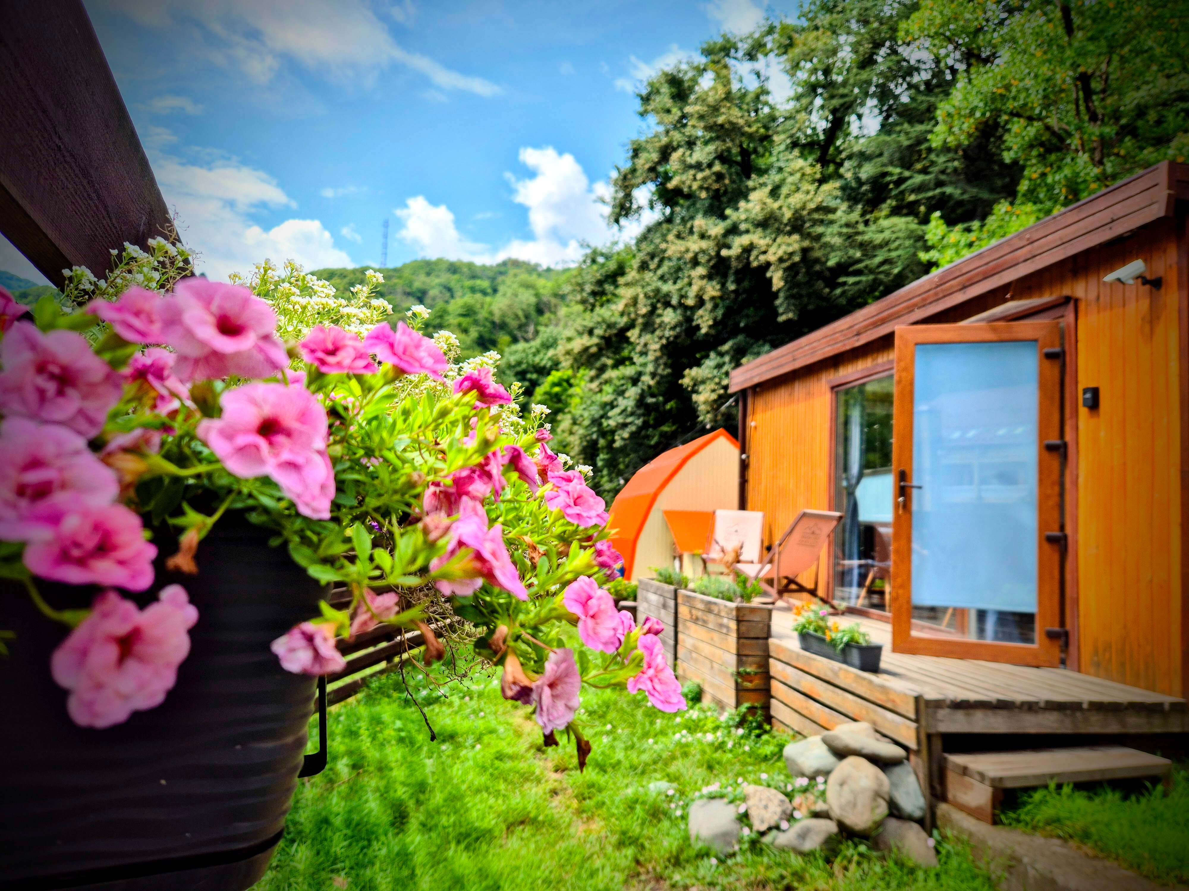 Фото Tinyhouse Polyana