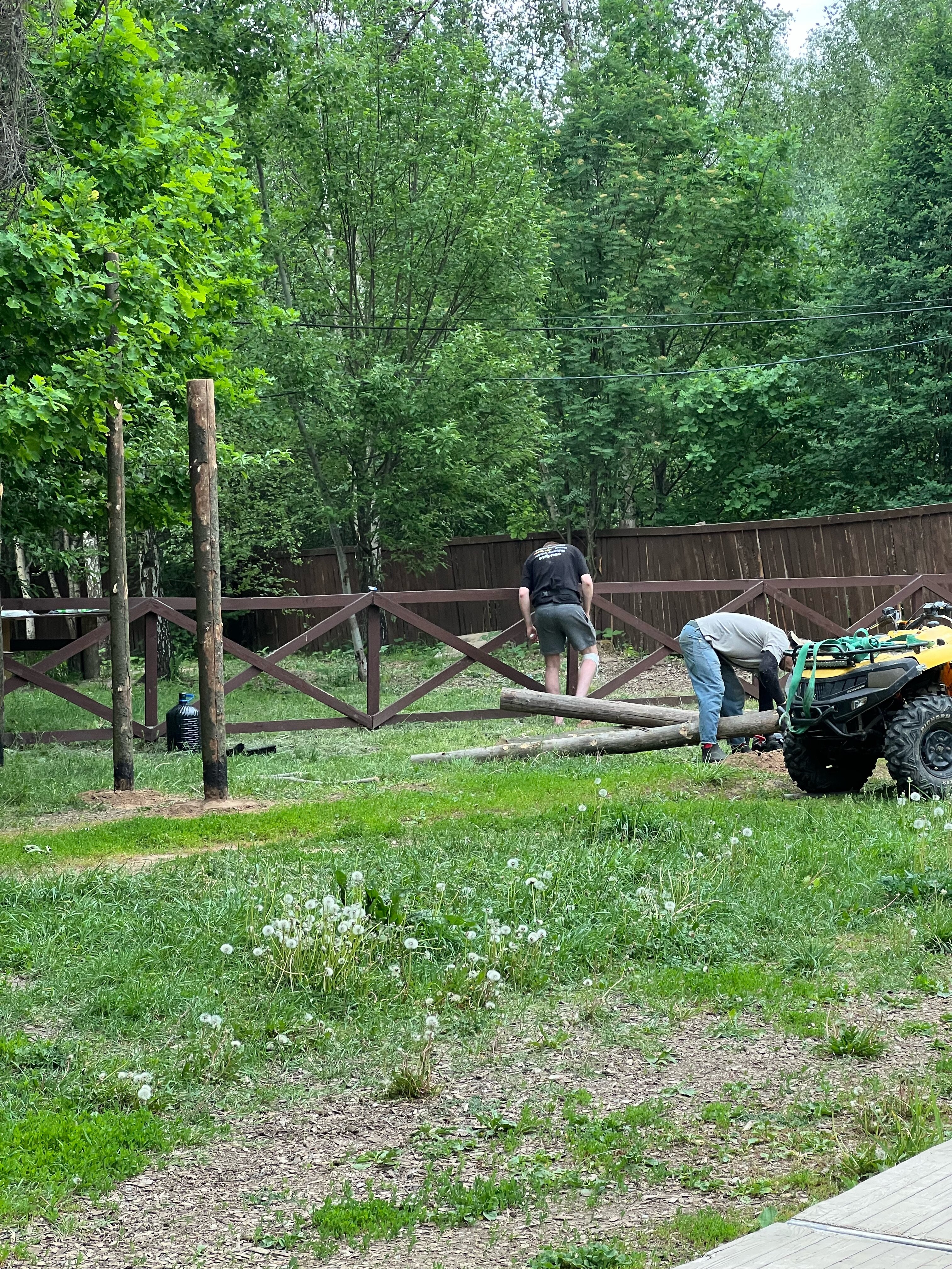 Фото Дрожжино парк