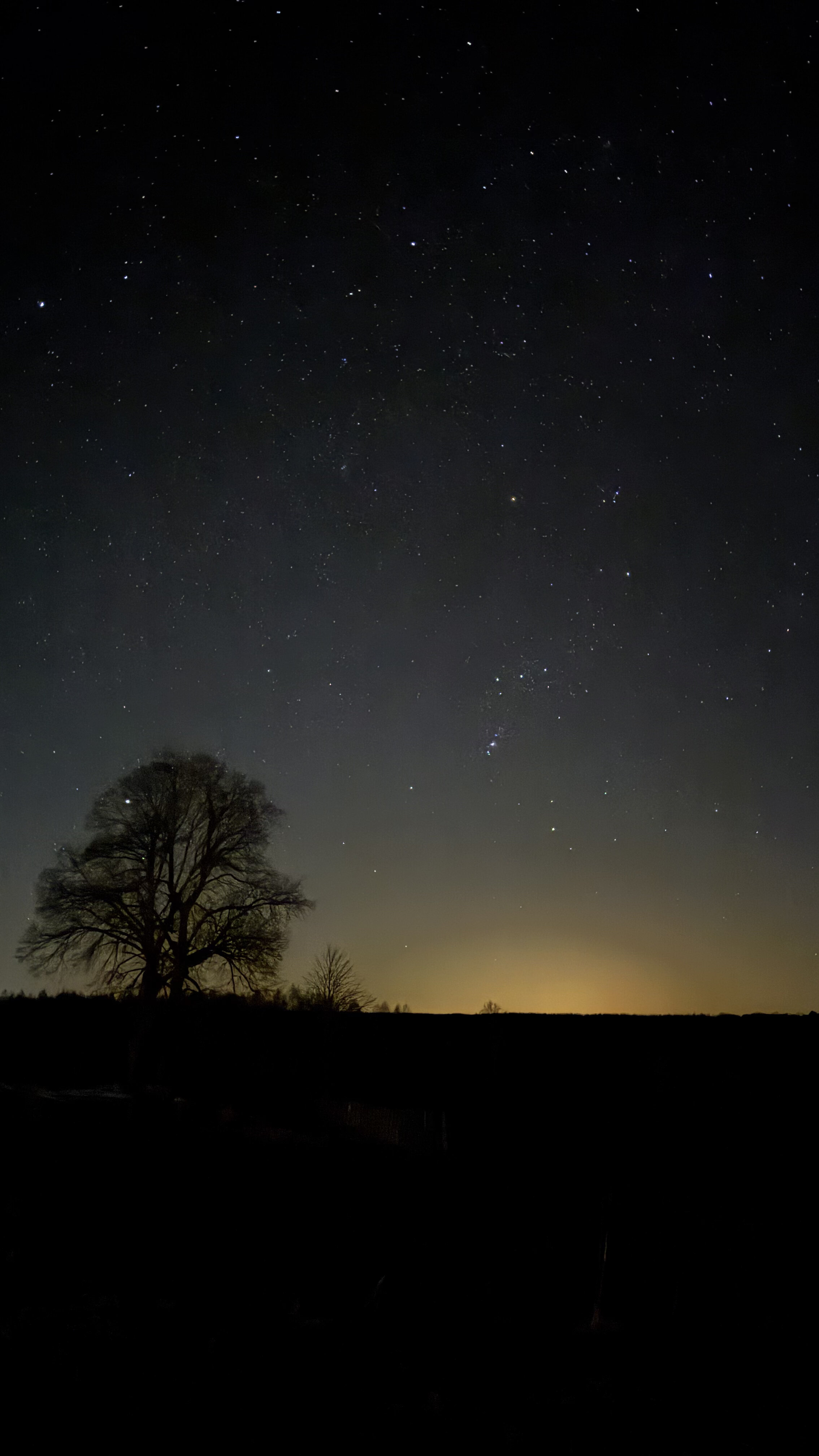 Фото Wooden Home