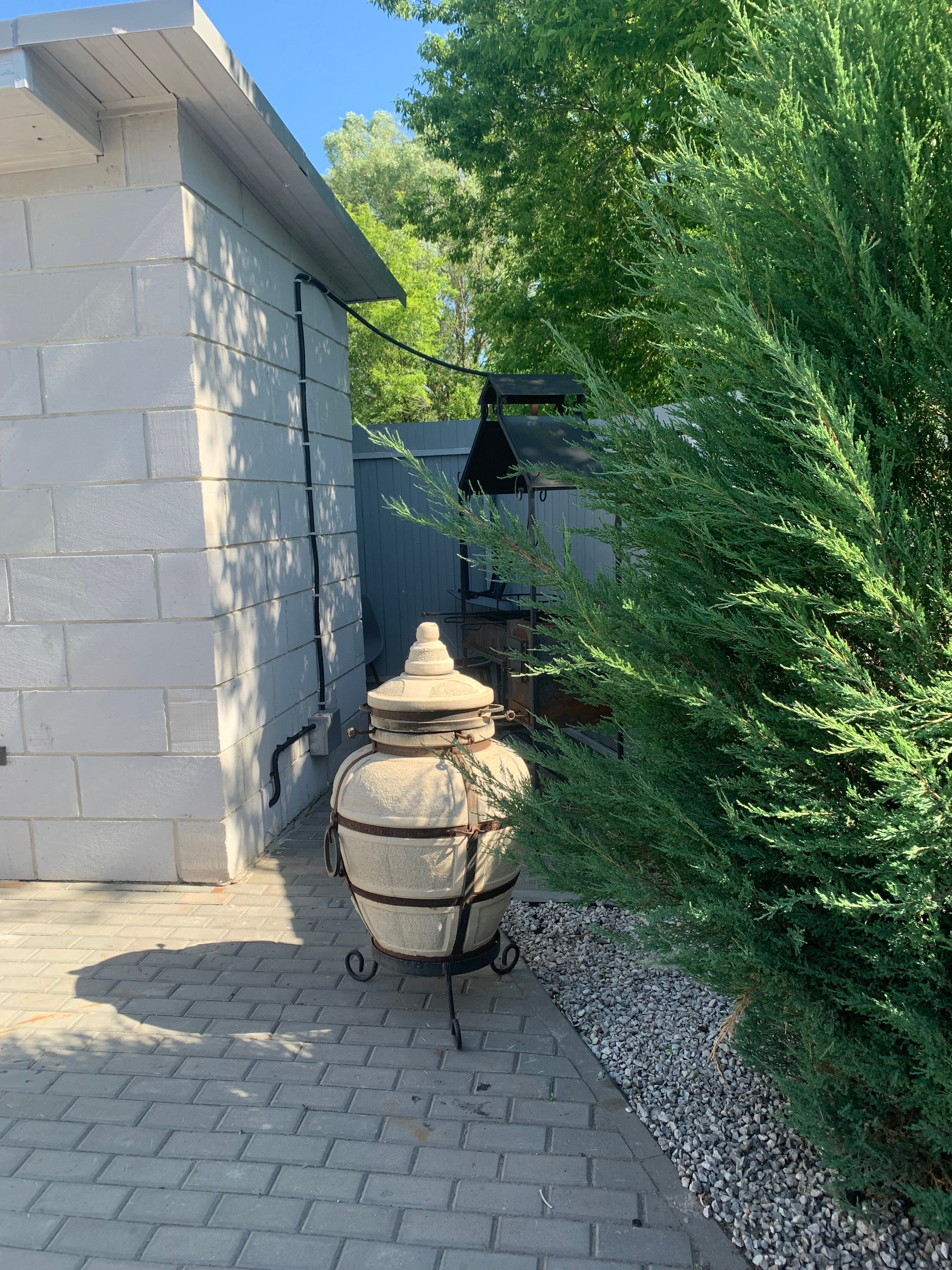 Фото Белая ворона