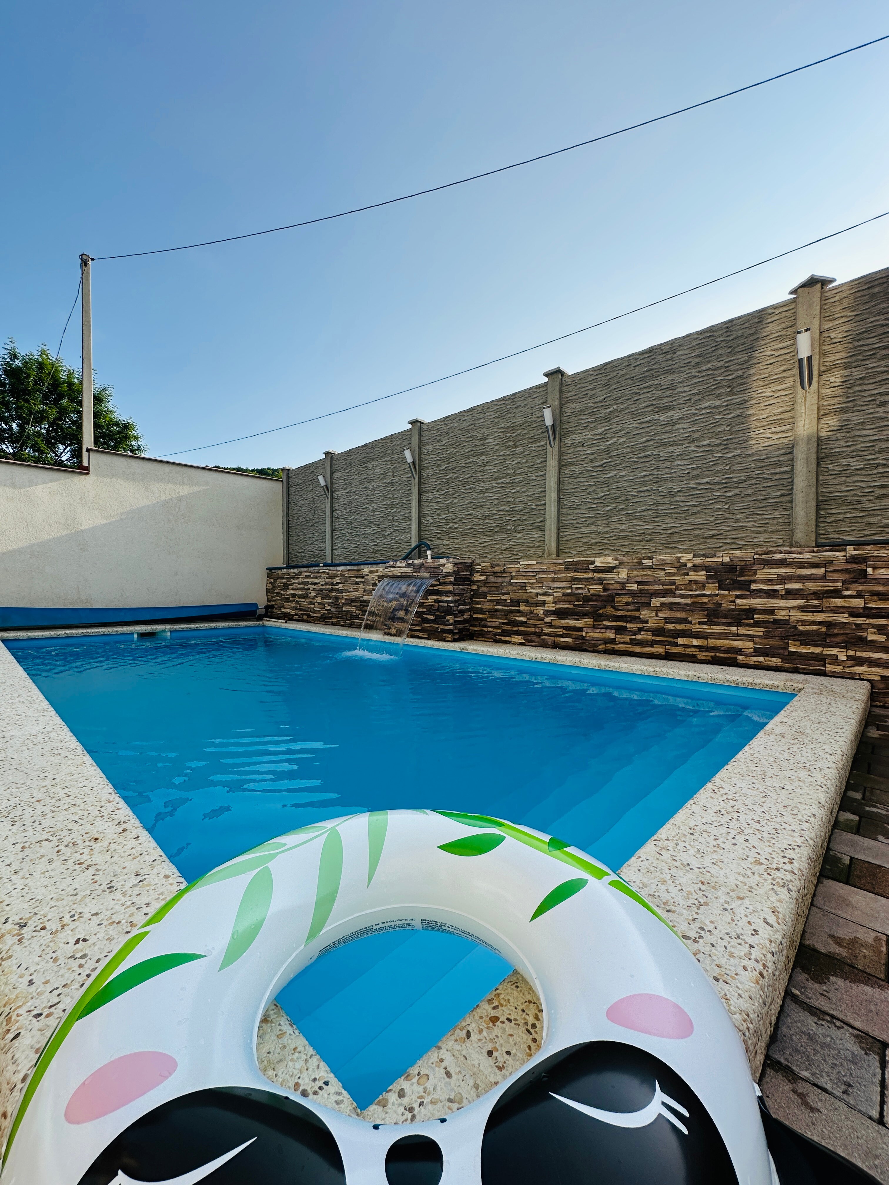 Фото Золотой абрикос