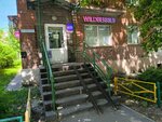 Wildberries.ru (Borisa Panina Street, 10), point of delivery