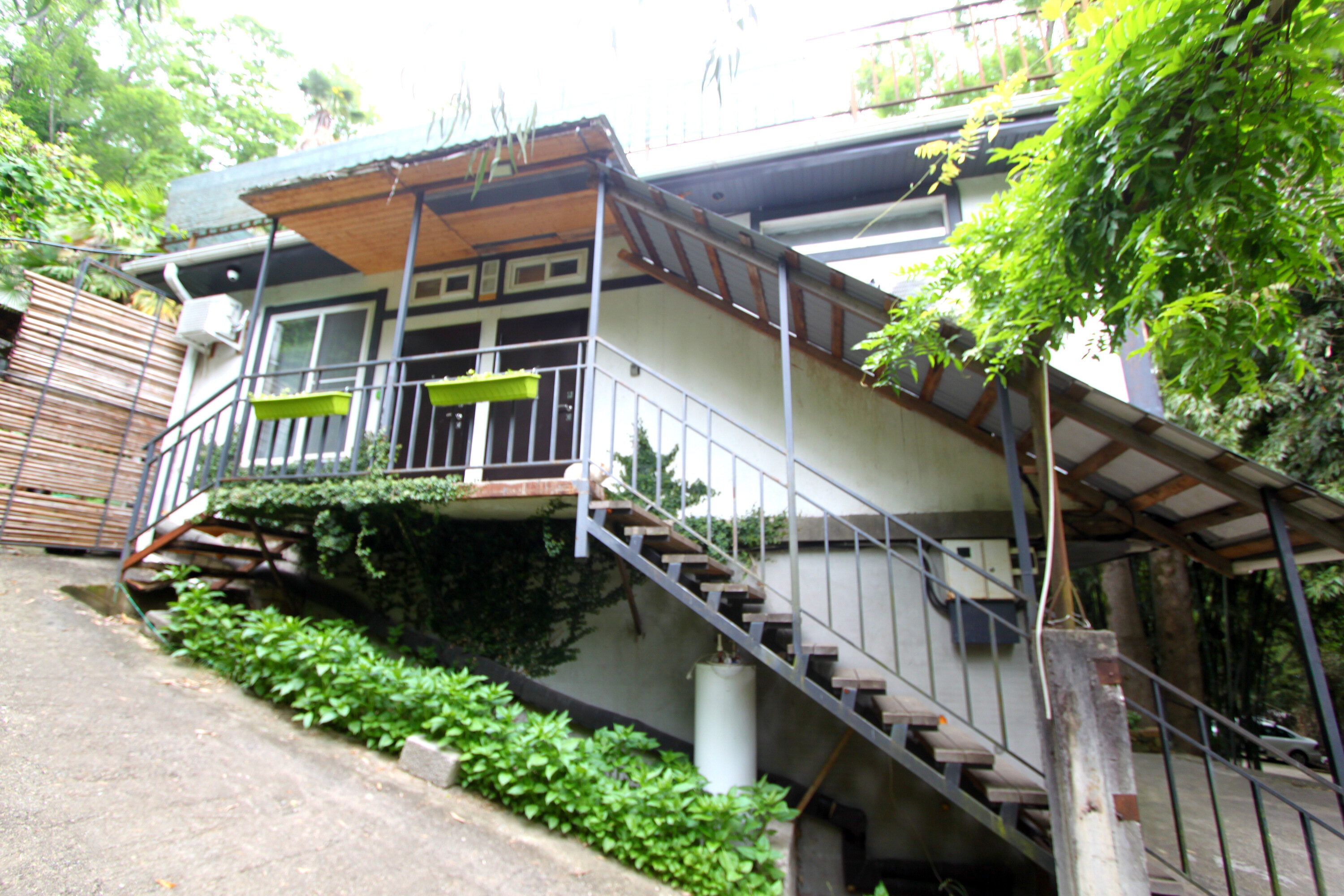 Фото Бамбуковая Роща