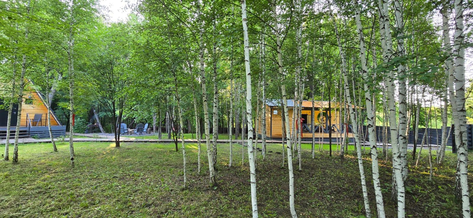 Фото Загорские дубки